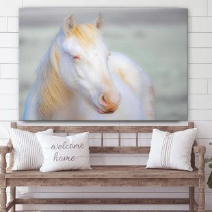 White Horse 2 Canvas Wall Art