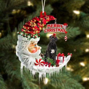 Cane Corso On The Moon Merry Christmas Ornaments Hanging Decor