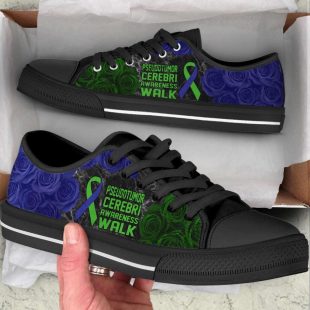 Pseudotumor Cerebri Shoes Awareness Walk Low Top Shoes Canvas Shoes